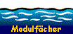  Modulfcher 