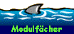  Modulfcher 
