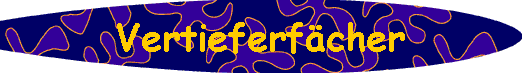  Vertieferfcher 
