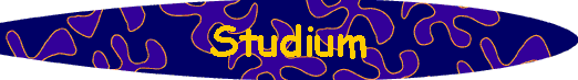  Studium 